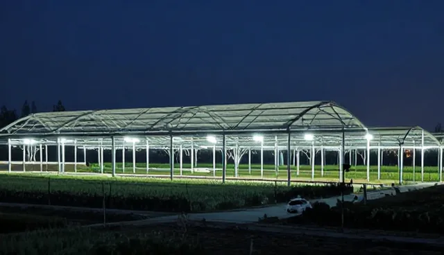 性能优化在实际业务中的应用场景与落地实践