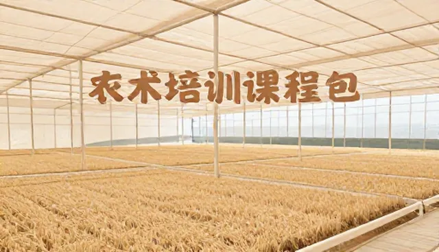 技术培训在系统维护业务中的重要性与发展趋势